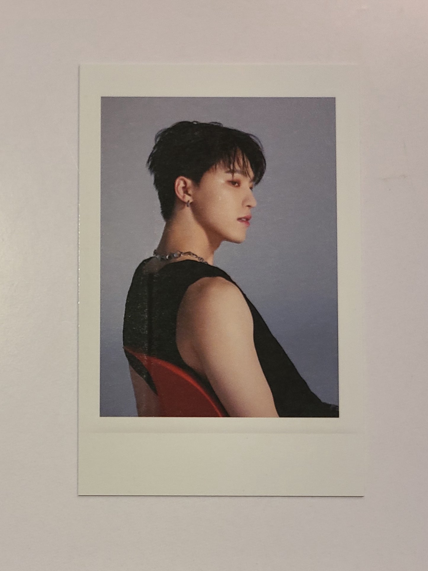 Dino Photocards