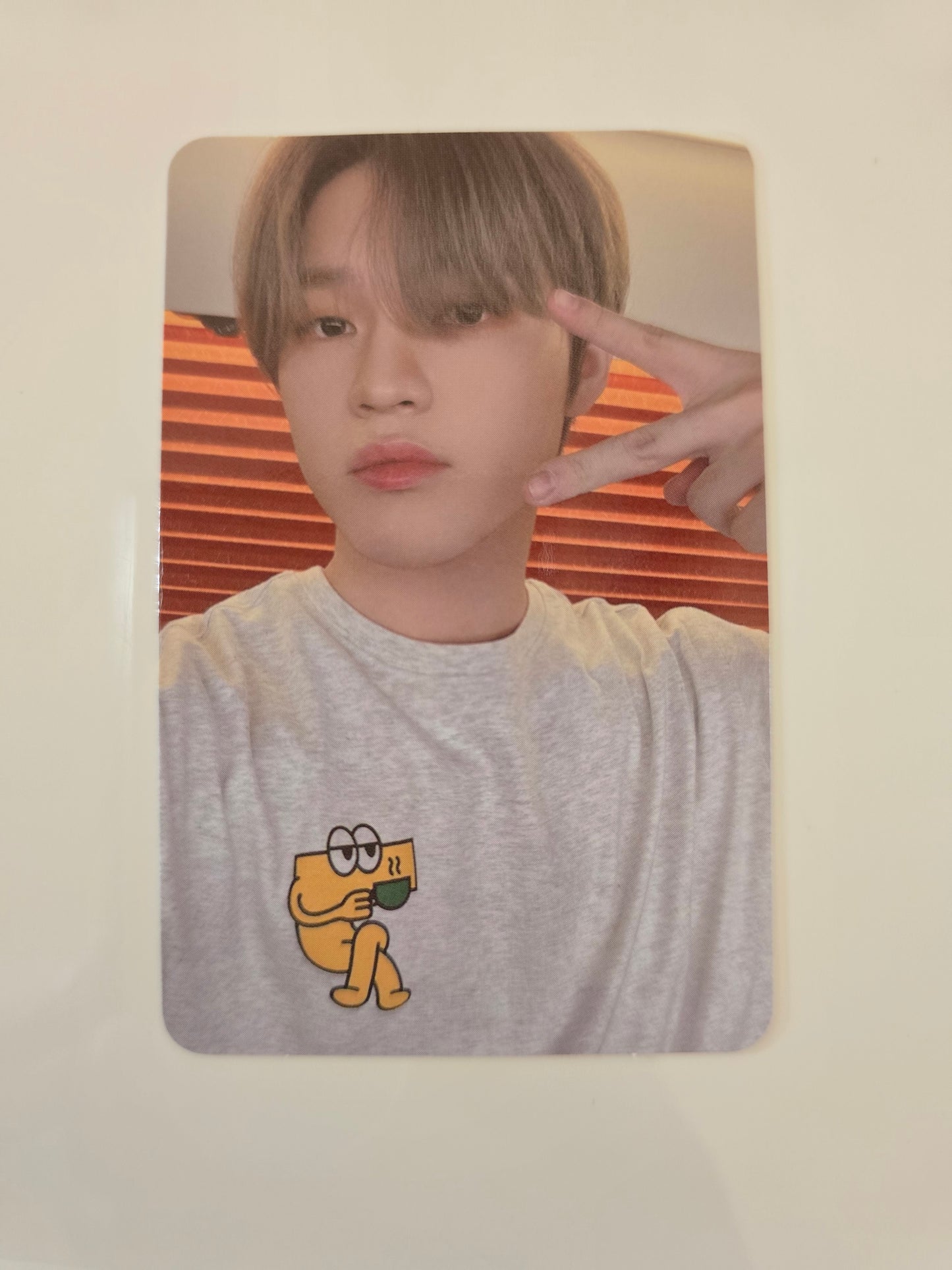 Chenle Photocards