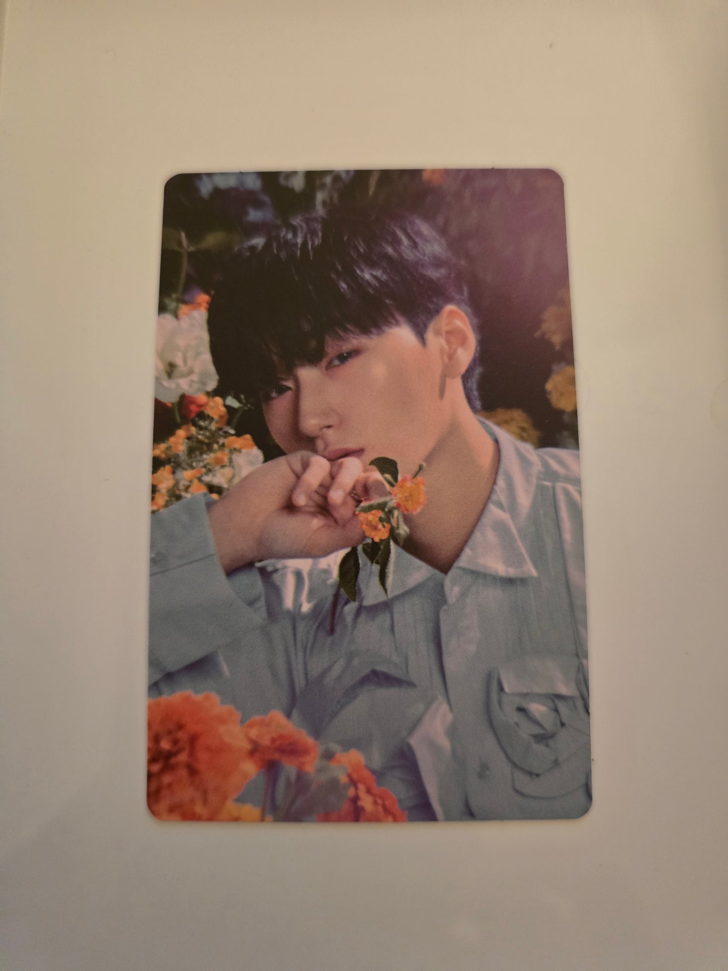 San - Album Photocards