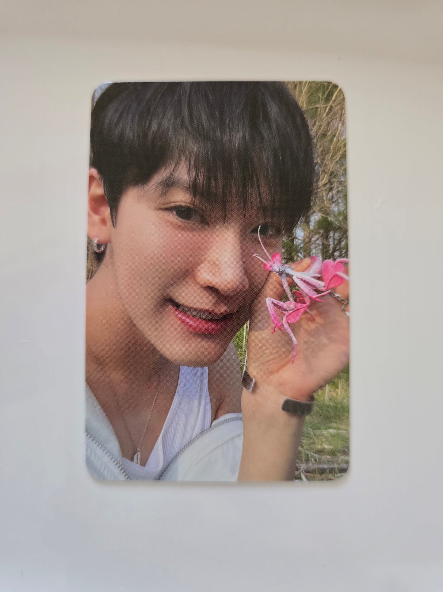 Ten Photocards