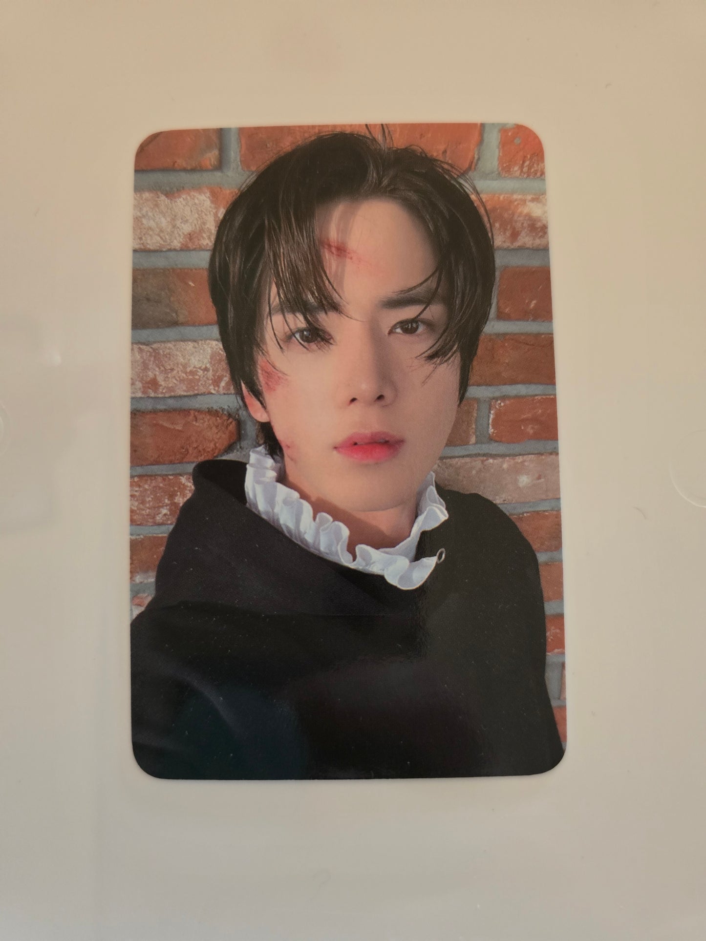 Younghoon Photocards