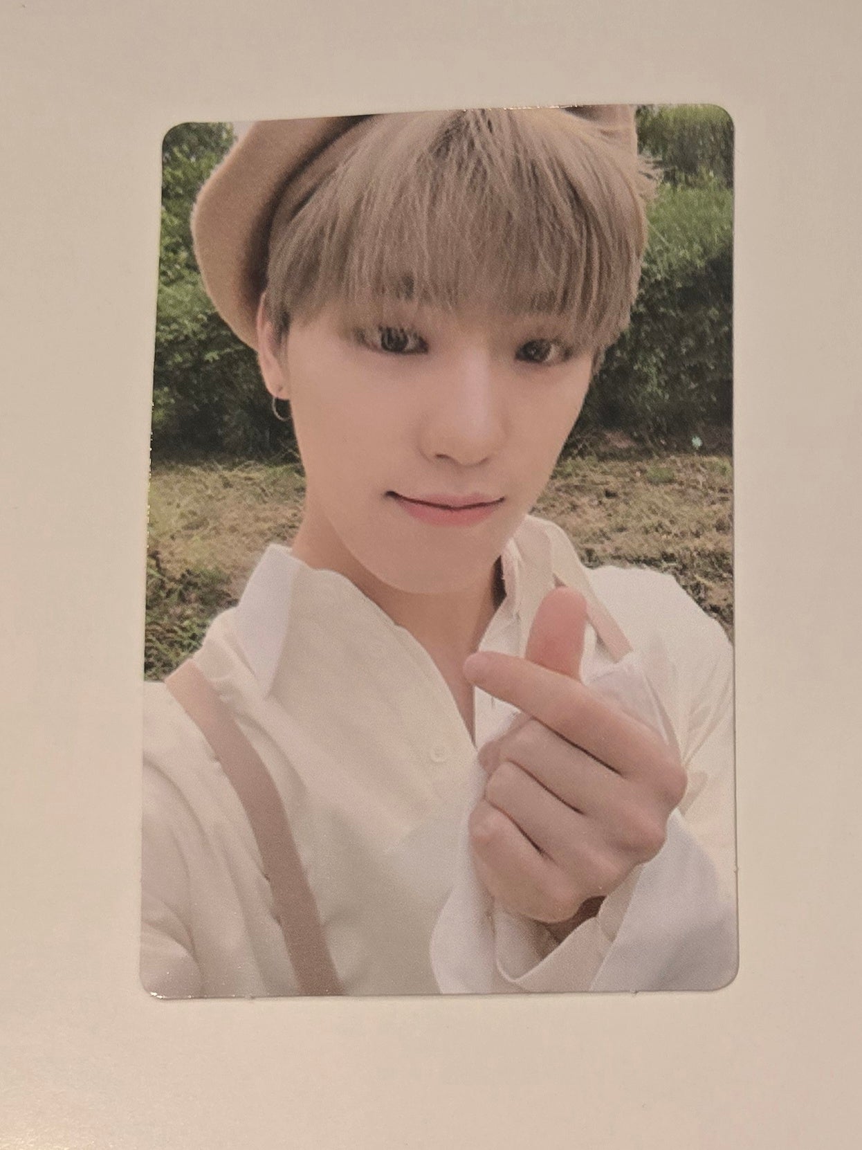 Dino Photocards
