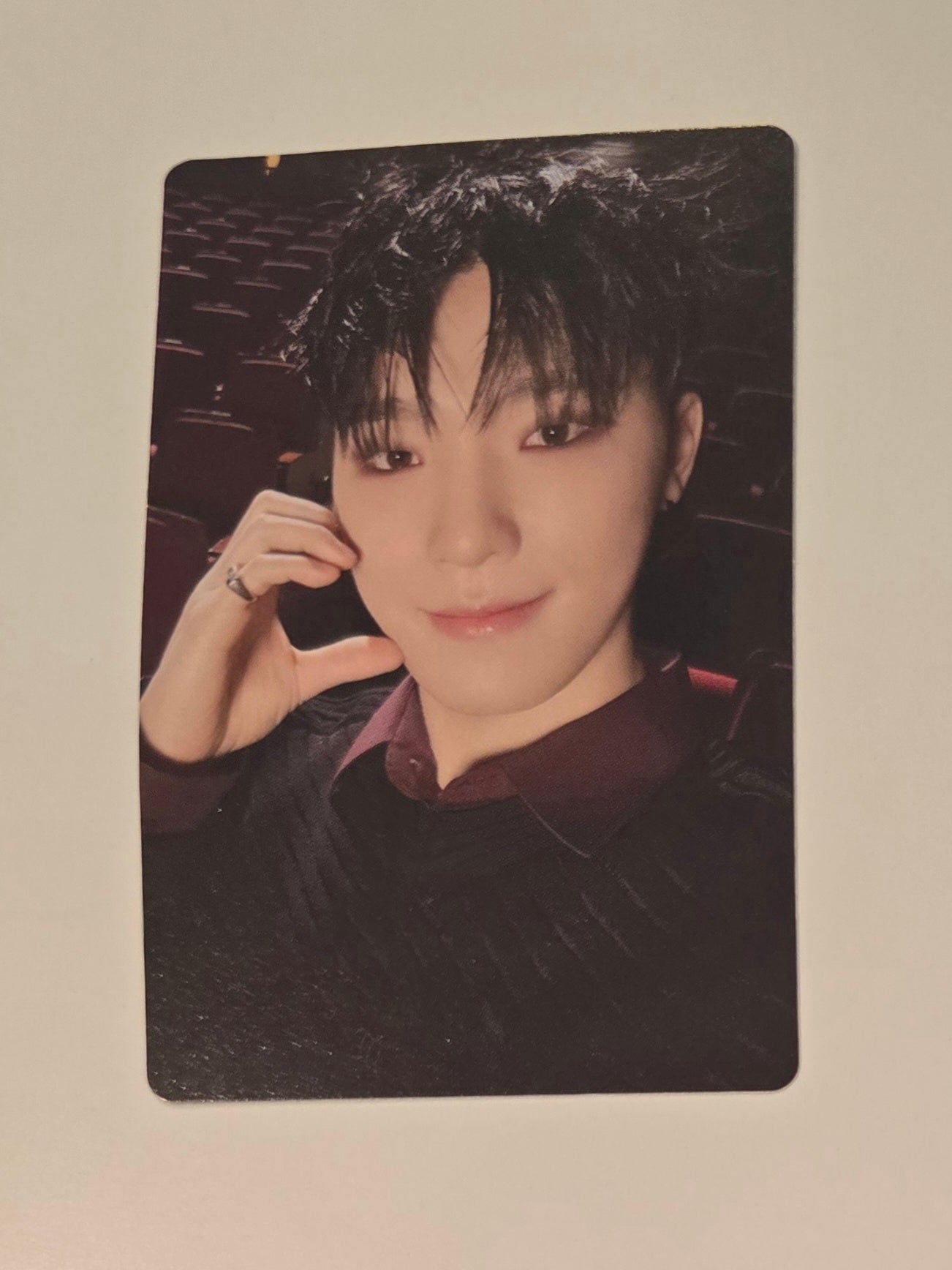 Dino Photocards