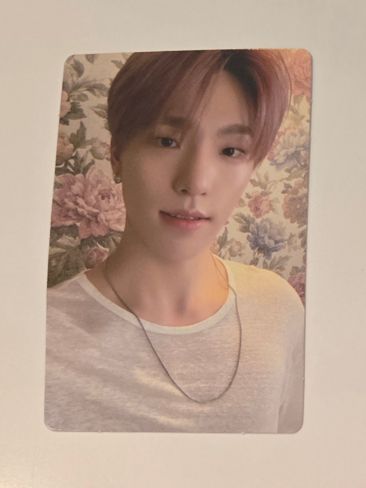 Dino Photocards