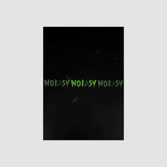 Stray Kids - NOEASY