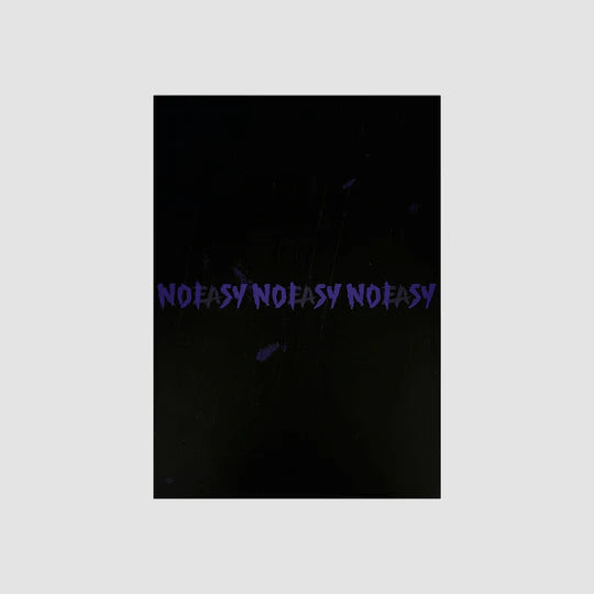 Stray Kids - NOEASY