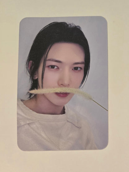 Yeosang - POBs