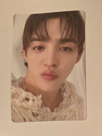 S.Coups Photocards