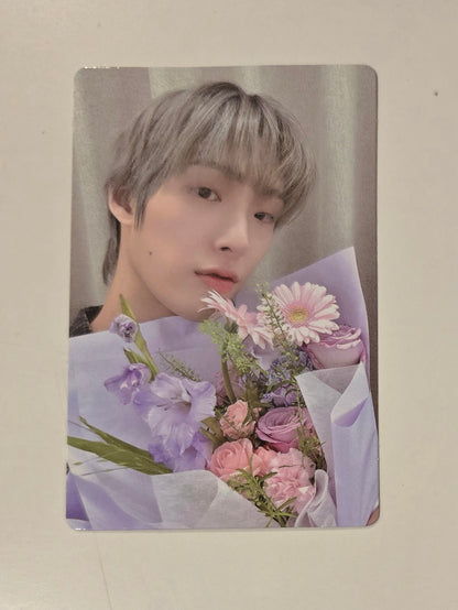 Mingi - POBs