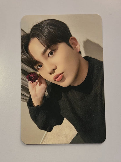 Jongho - POBs