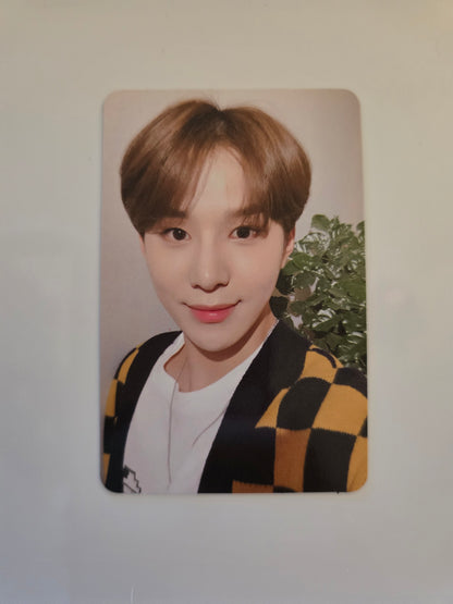 Jungwoo Photocards