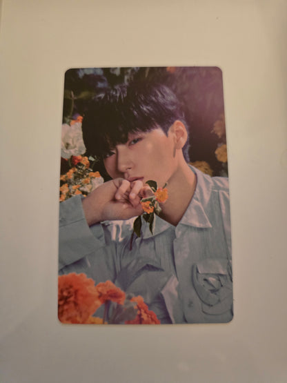 San - Album Photocards