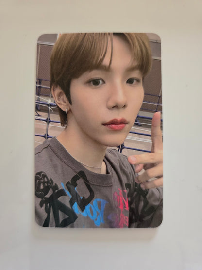 Shotaro Photocards
