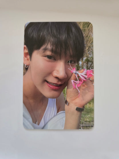 Ten Photocards