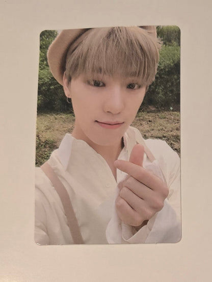 Dino Photocards