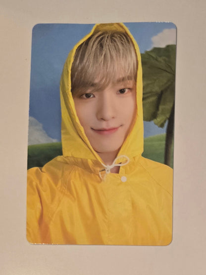 Dino Photocards