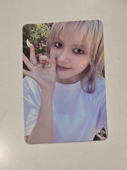 Lily Photocards