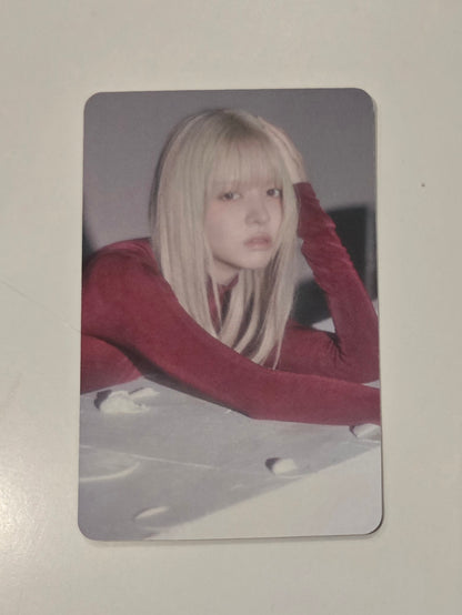 Lily Photocards
