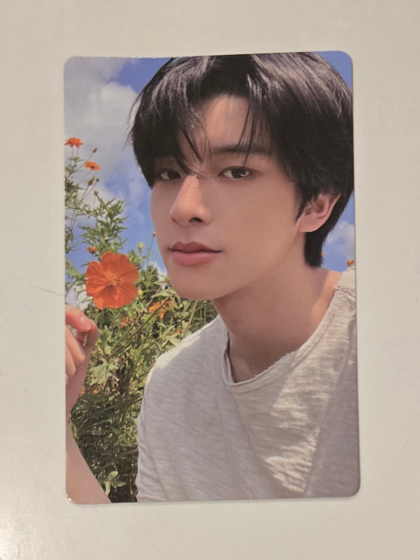 Jake Photocards