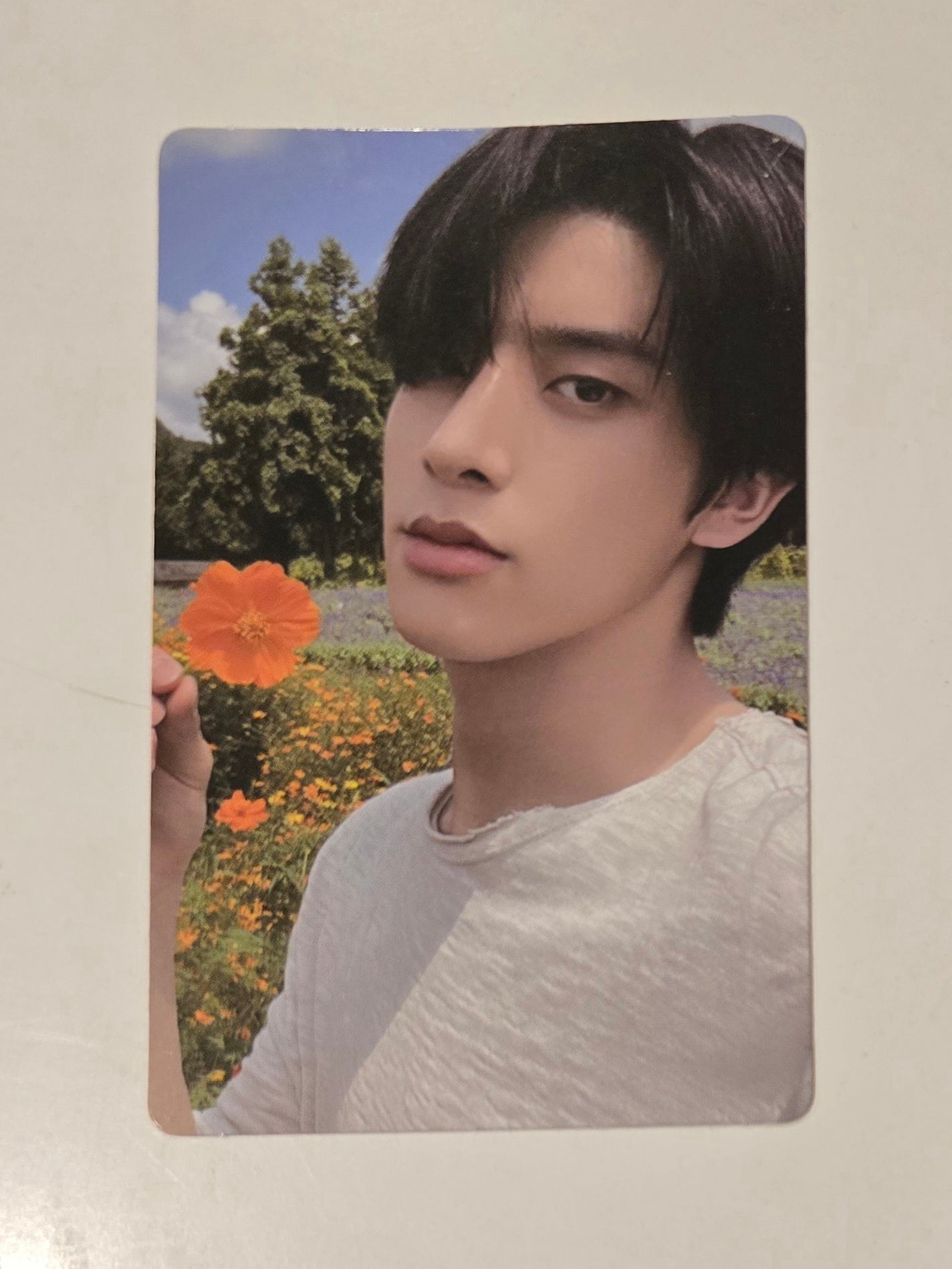 Jake Photocards