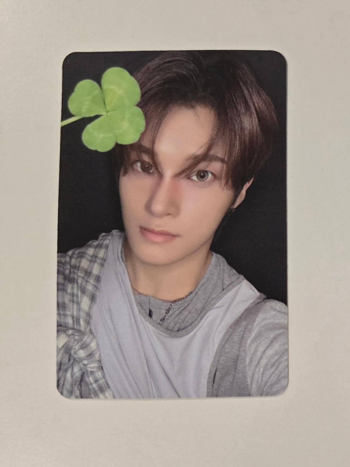 Junmin Photocards