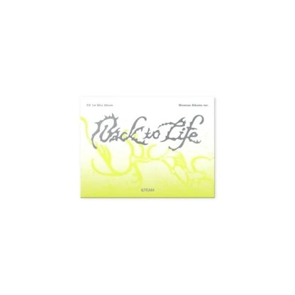 &TEAM - BACK TO LIFE