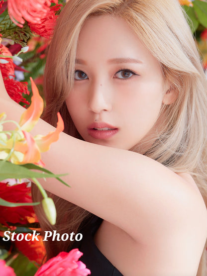 Mina Photocards