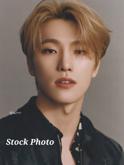 Dino Photocards