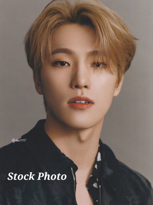Dino Photocards